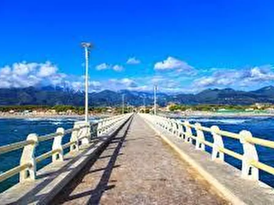 Immagine 22 di Casa semindipendente in affitto  a Forte Dei Marmi