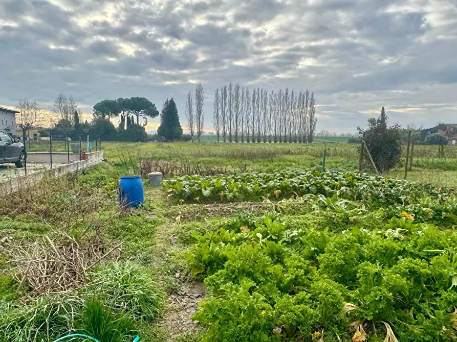 Immagine 7 di Casa indipendente in vendita  a Santa Maria A Monte