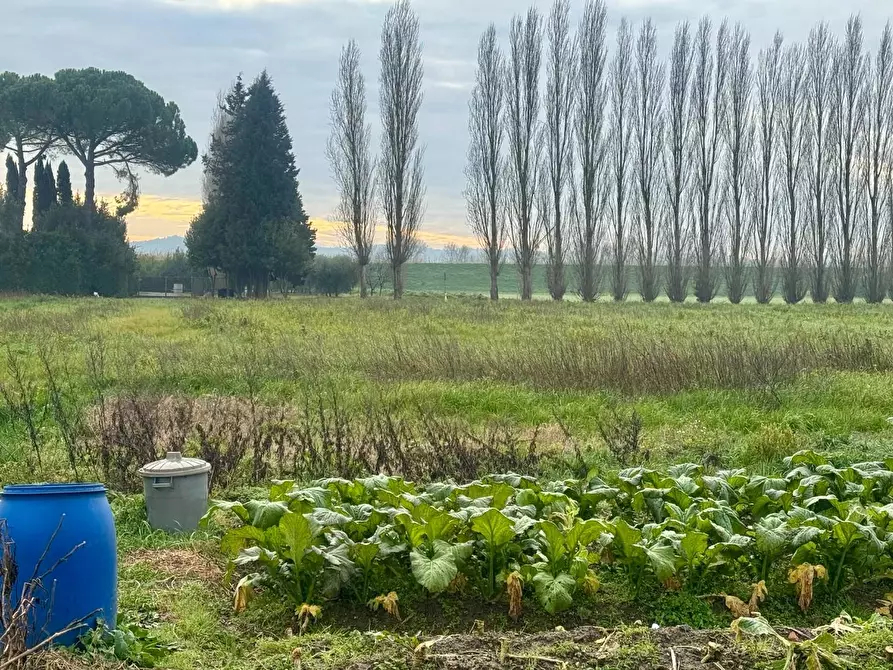 Immagine 9 di Casa indipendente in vendita  a Santa Maria A Monte