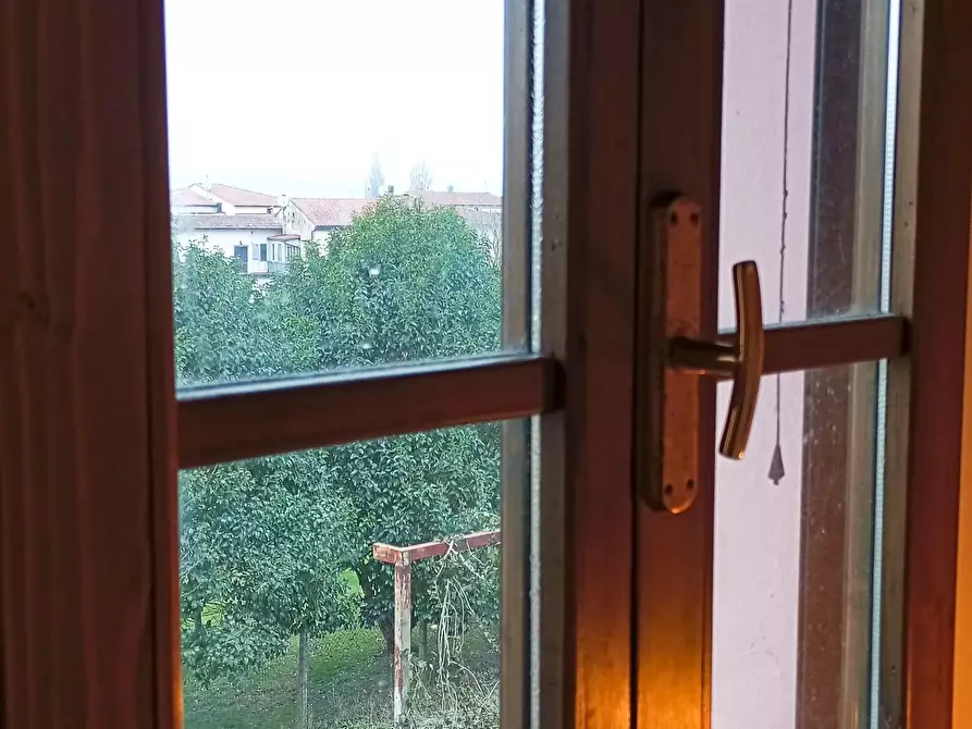 Immagine 9 di Terratetto in vendita  a San Miniato