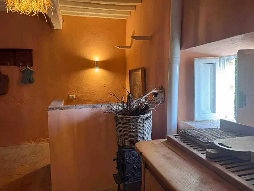 Immagine 9 di Terratetto in vendita  a Chiusdino