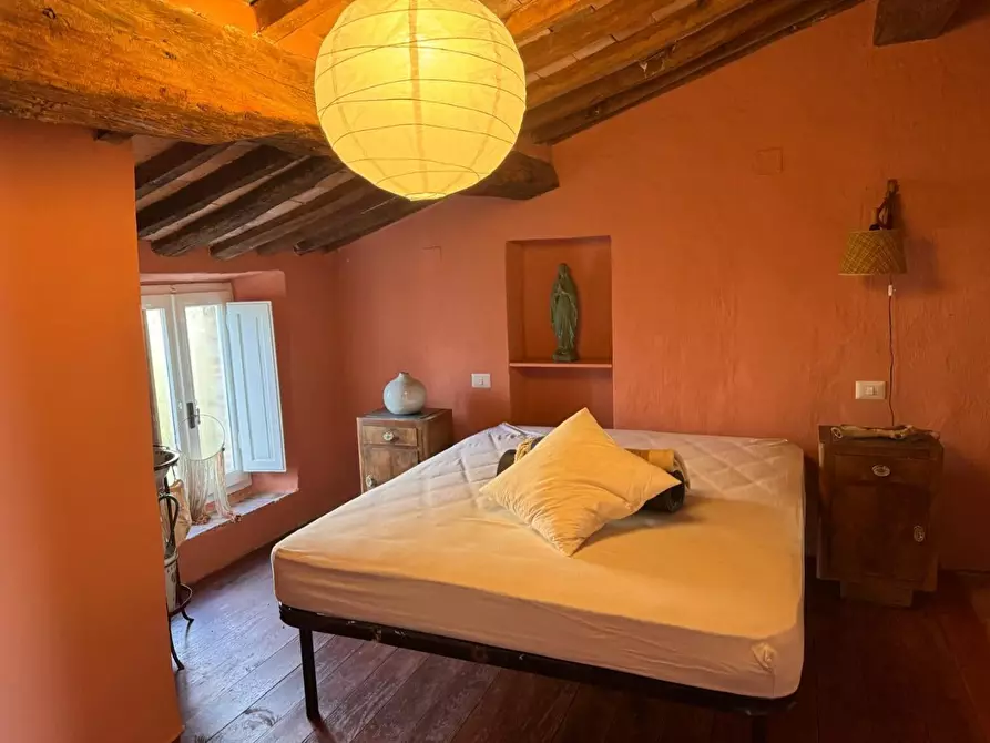 Immagine 31 di Terratetto in vendita  a Chiusdino