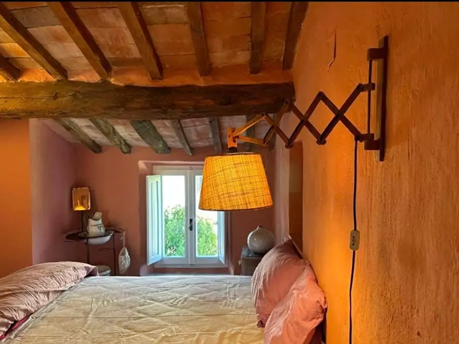 Immagine 30 di Terratetto in vendita  a Chiusdino