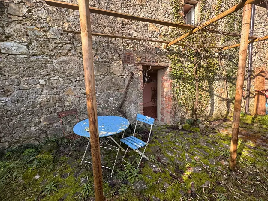 Immagine 36 di Terratetto in vendita  a Chiusdino