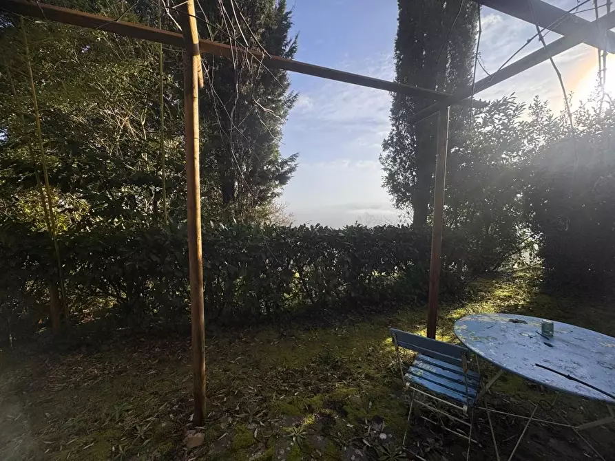 Immagine 34 di Terratetto in vendita  a Chiusdino