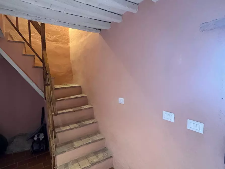 Immagine 25 di Terratetto in vendita  a Chiusdino