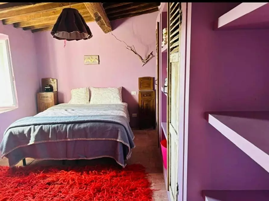 Immagine 28 di Terratetto in vendita  a Chiusdino