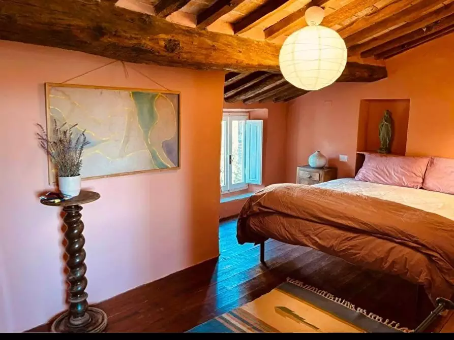 Immagine 29 di Terratetto in vendita  a Chiusdino