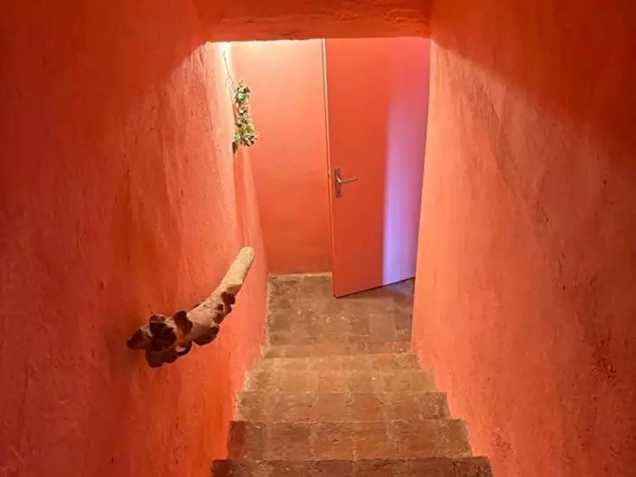 Immagine 63 di Terratetto in vendita  a Chiusdino