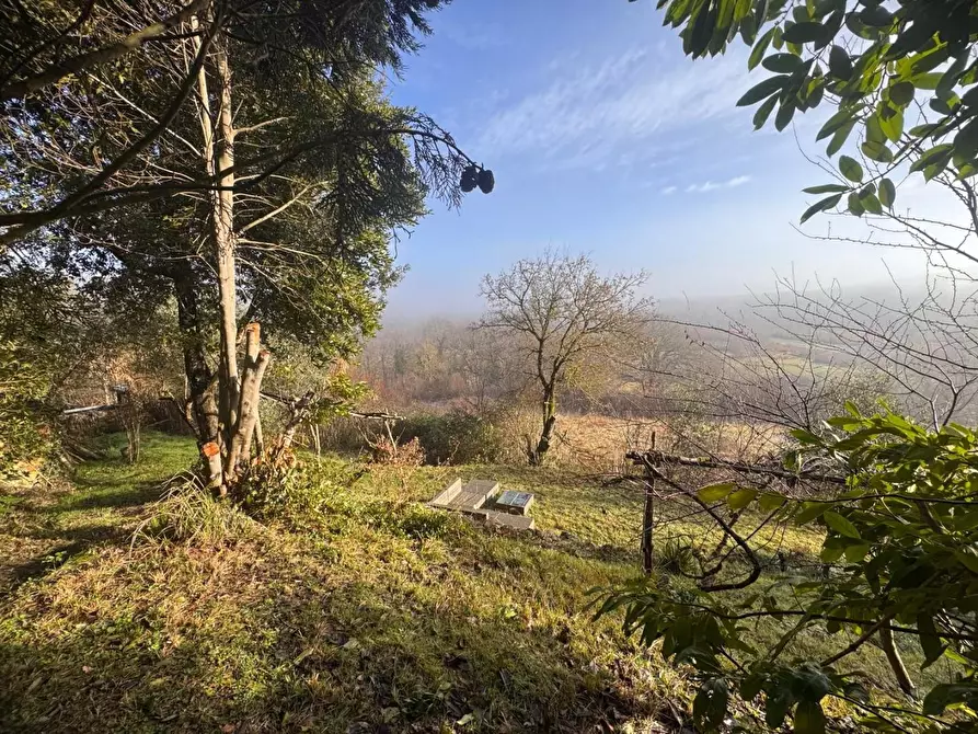 Immagine 35 di Terratetto in vendita  a Chiusdino