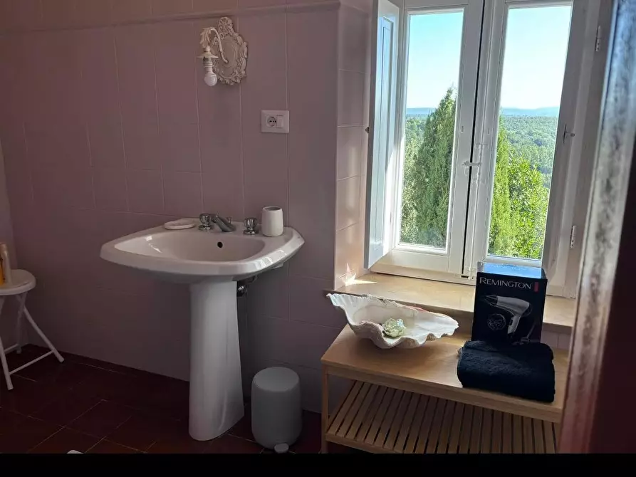 Immagine 15 di Terratetto in vendita  a Chiusdino