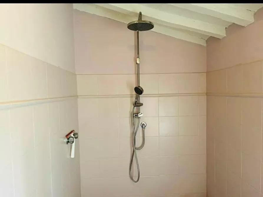 Immagine 17 di Terratetto in vendita  a Chiusdino