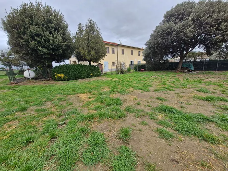 Immagine 32 di Appartamento in vendita  a Piombino