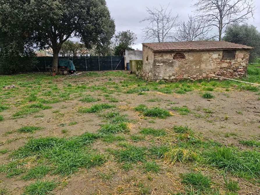 Immagine 33 di Appartamento in vendita  a Piombino