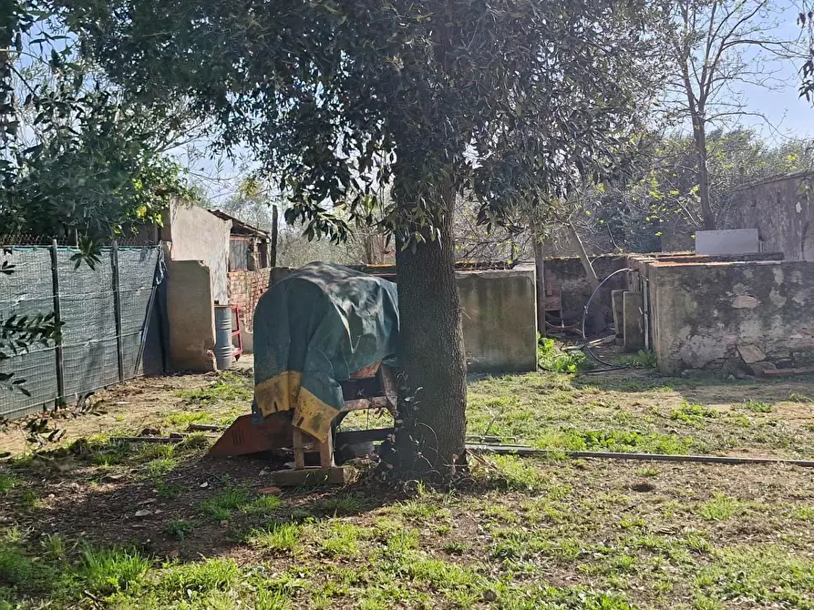 Immagine 45 di Appartamento in vendita  a Piombino