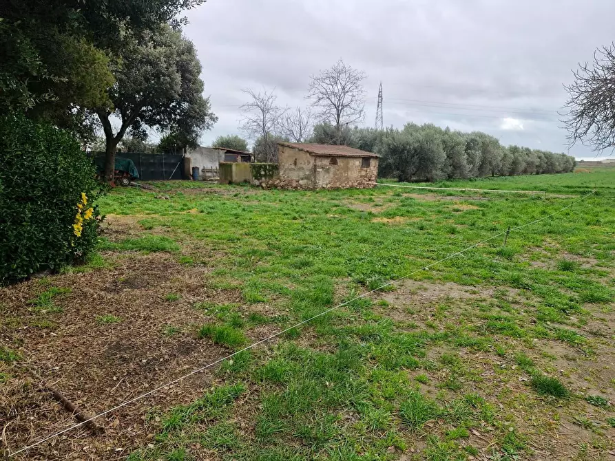 Immagine 28 di Appartamento in vendita  a Piombino