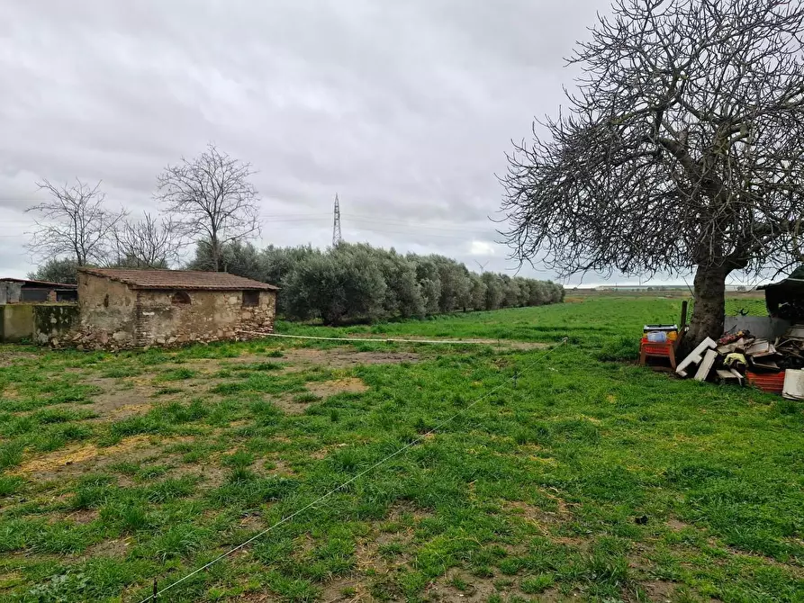 Immagine 30 di Appartamento in vendita  a Piombino