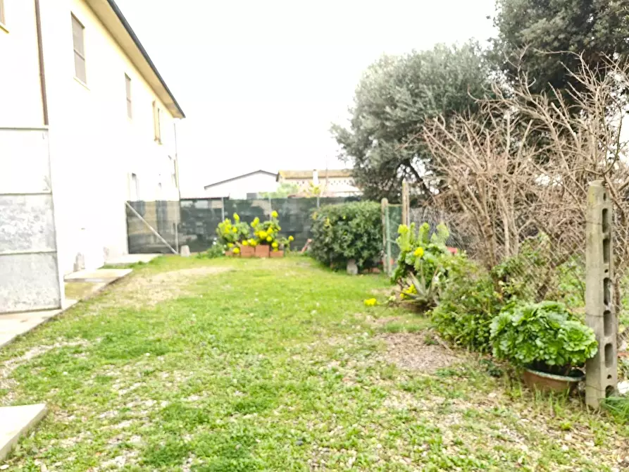 Immagine 25 di Appartamento in vendita  a Piombino