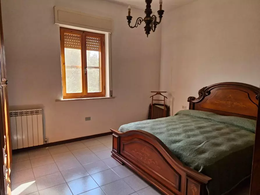 Immagine 23 di Appartamento in vendita  a Piombino