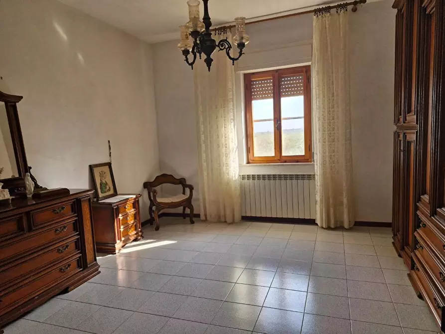 Immagine 19 di Appartamento in vendita  a Piombino