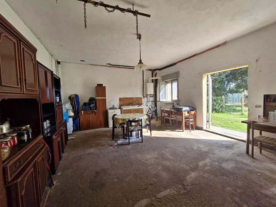 Immagine 38 di Appartamento in vendita  a Piombino