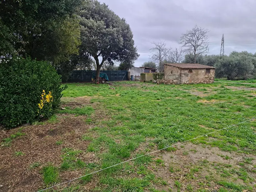 Immagine 29 di Appartamento in vendita  a Piombino