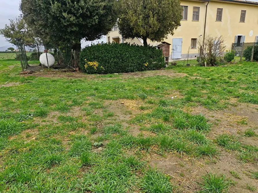 Immagine 35 di Appartamento in vendita  a Piombino