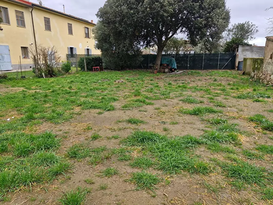 Immagine 34 di Appartamento in vendita  a Piombino