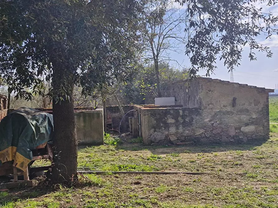 Immagine 44 di Appartamento in vendita  a Piombino