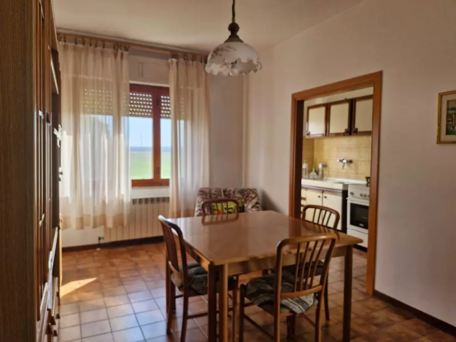 Immagine 4 di Appartamento in vendita  a Piombino