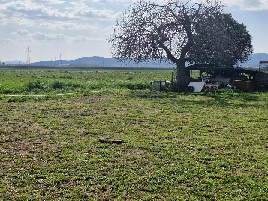 Immagine 46 di Appartamento in vendita  a Piombino