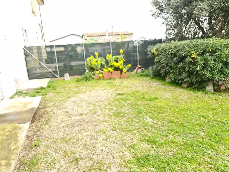 Immagine 26 di Appartamento in vendita  a Piombino