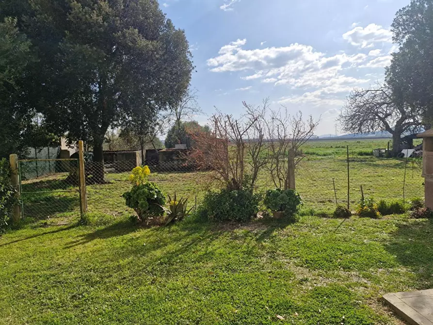 Immagine 41 di Appartamento in vendita  a Piombino