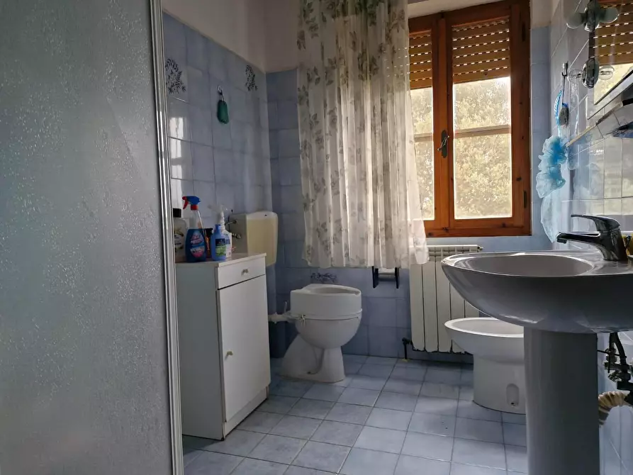 Immagine 16 di Appartamento in vendita  a Piombino