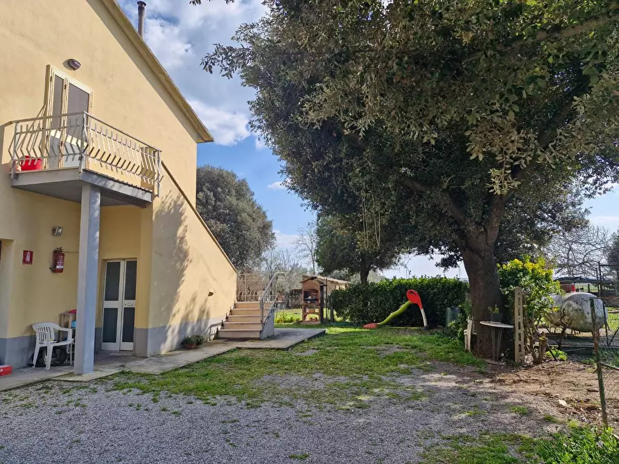 Immagine 48 di Appartamento in vendita  a Piombino