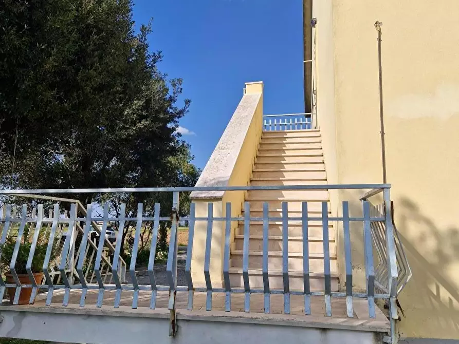 Immagine 50 di Appartamento in vendita  a Piombino