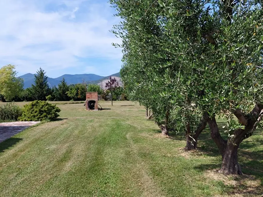 Immagine 33 di Casa colonica in vendita  a Cascina