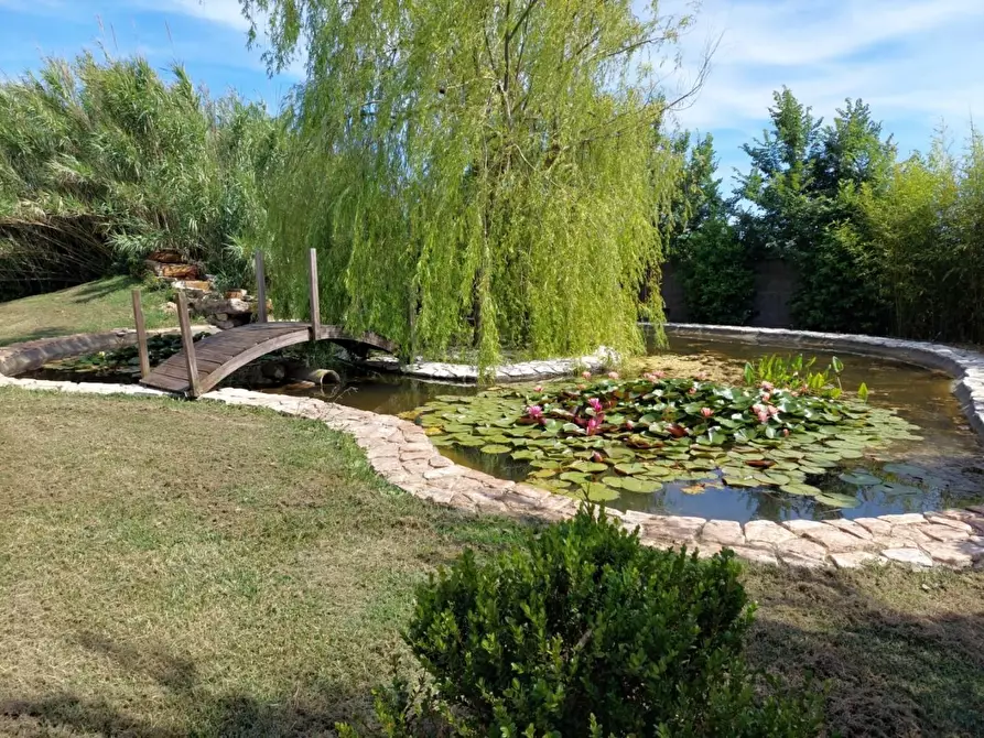 Immagine 57 di Casa colonica in vendita  a Cascina