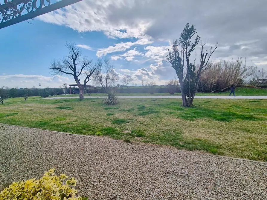 Immagine 46 di Casa colonica in vendita  a Cascina