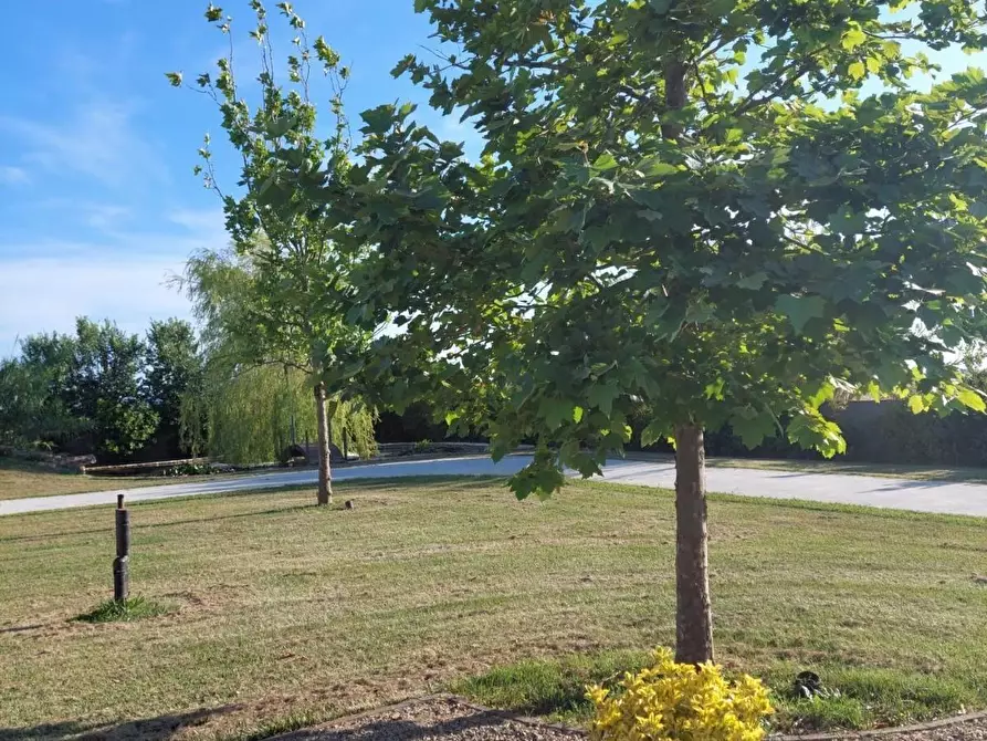 Immagine 3 di Casa colonica in vendita  a Cascina