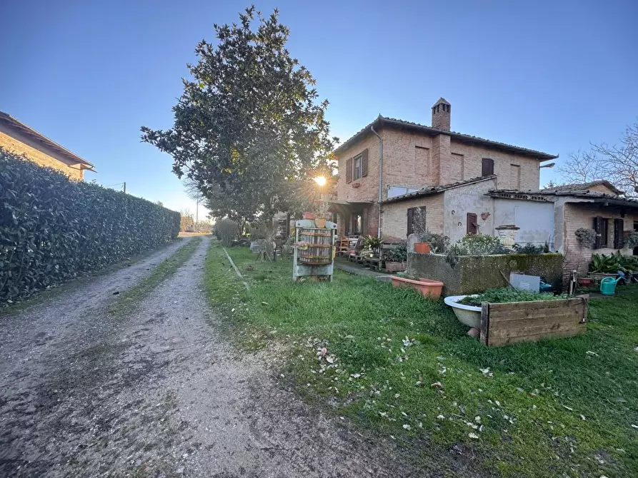 Immagine 7 di Casa colonica in vendita  a Siena
