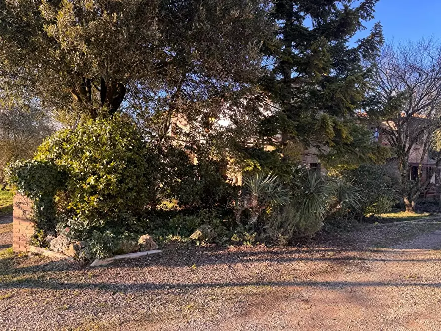 Immagine 12 di Casa colonica in vendita  a Siena