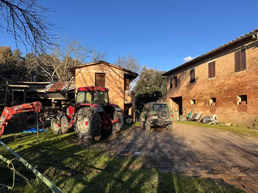 Immagine 6 di Casa colonica in vendita  a Siena