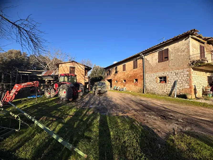 Immagine 9 di Casa colonica in vendita  a Siena