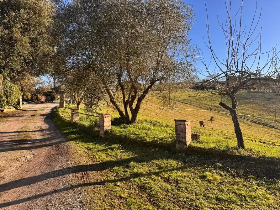 Immagine 8 di Casa colonica in vendita  a Siena