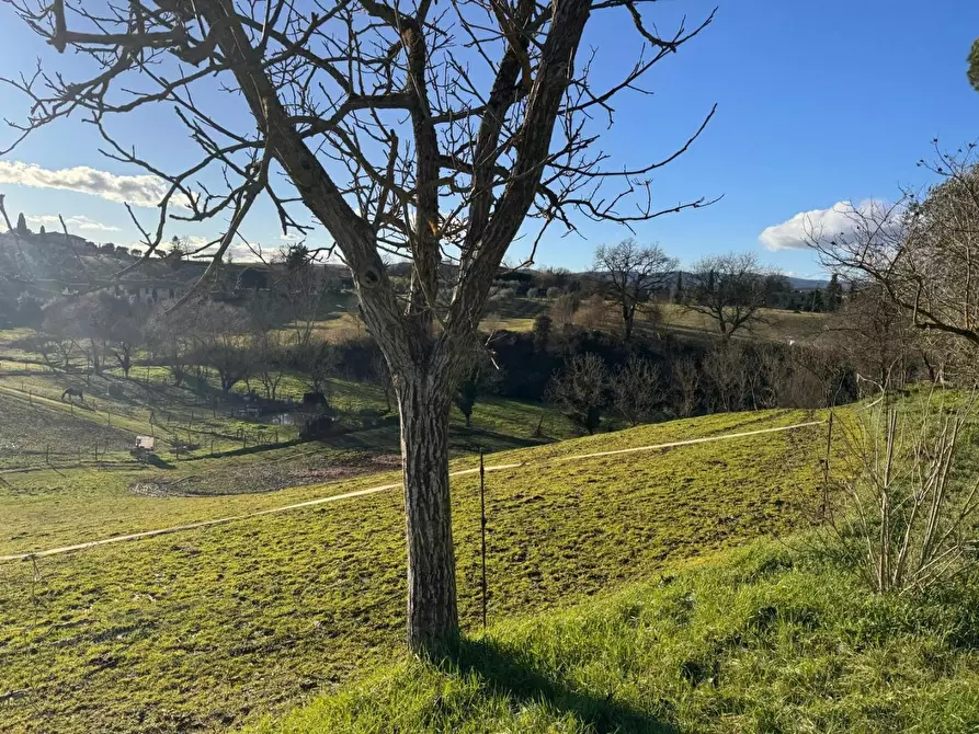 Immagine 13 di Casa colonica in vendita  a Siena