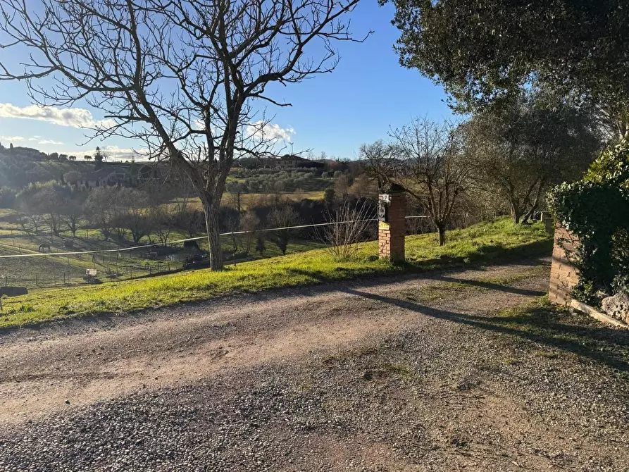 Immagine 11 di Casa colonica in vendita  a Siena