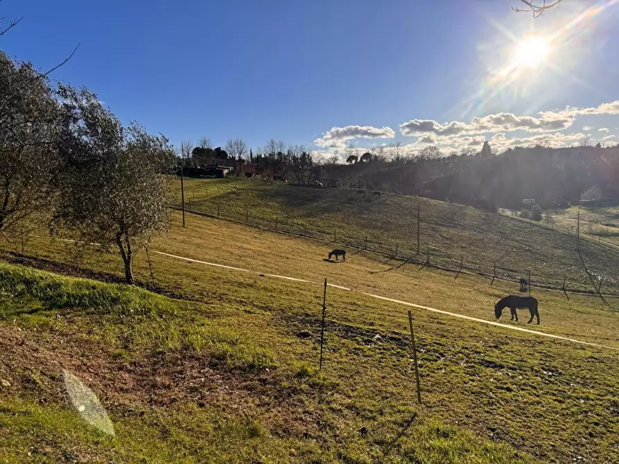 Immagine 10 di Casa colonica in vendita  a Siena