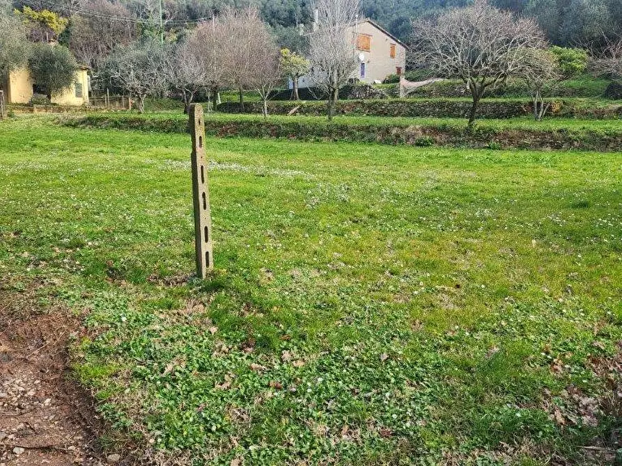 Immagine 3 di Terreno agricolo in vendita  a Vicopisano