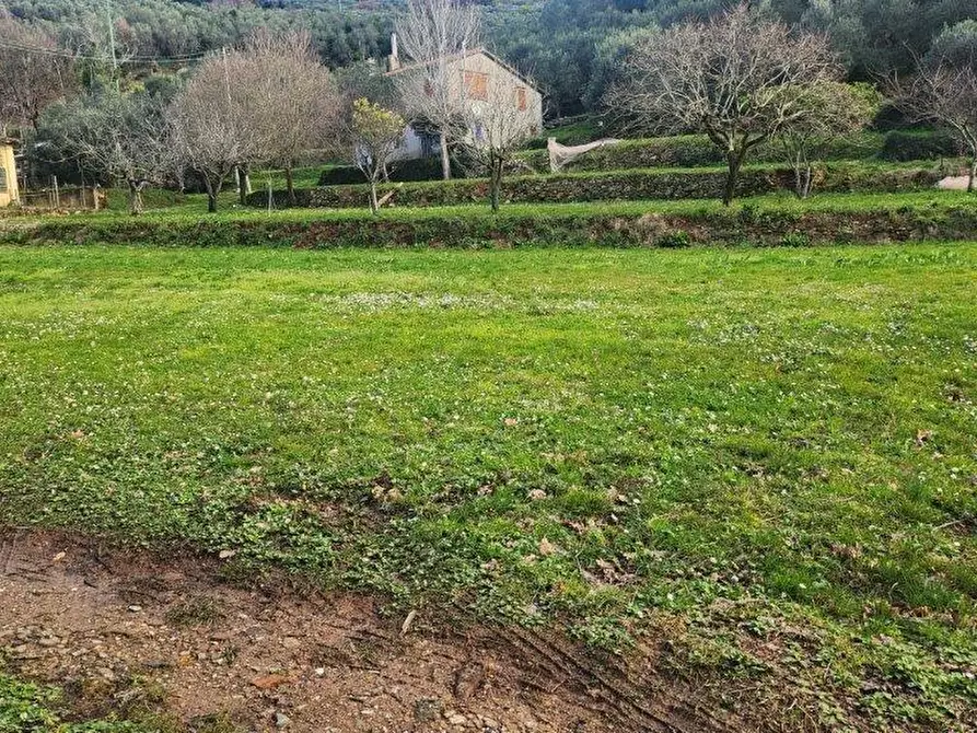 Immagine 1 di Terreno agricolo in vendita  a Vicopisano